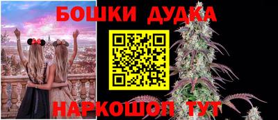 PSILOCYBIN Краснознаменск