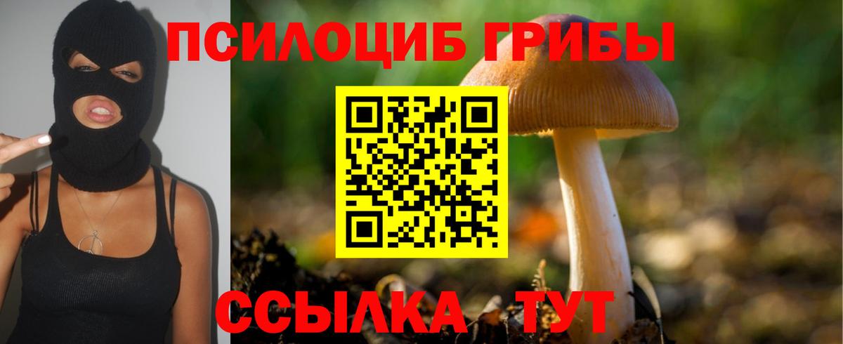 Псилоцибиновые грибы Magic Shrooms  Вход с VPN  Кизляр 